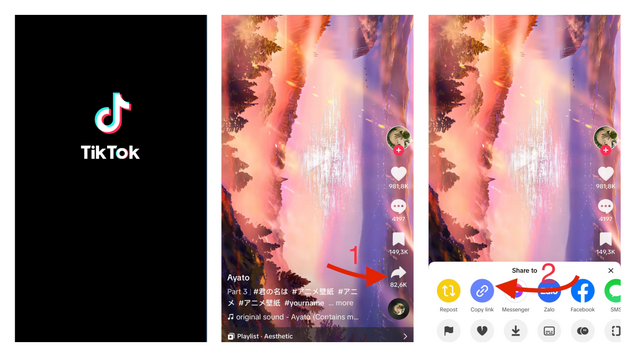 How to copy TikTok link